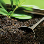 Черный плантационный чай