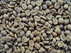 Зеленый кофе в зернах - Арабика Бразилия